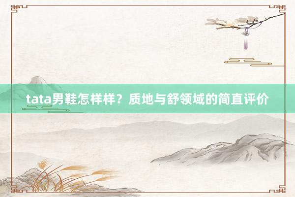 tata男鞋怎样样？质地与舒领域的简直评价