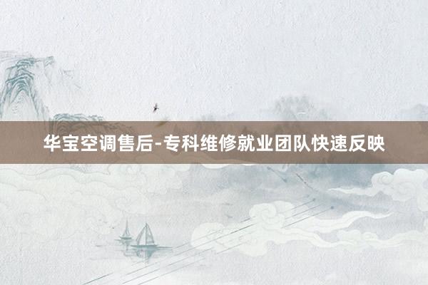 华宝空调售后-专科维修就业团队快速反映