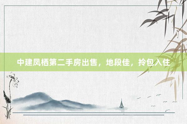 中建凤栖第二手房出售，地段佳，拎包入住