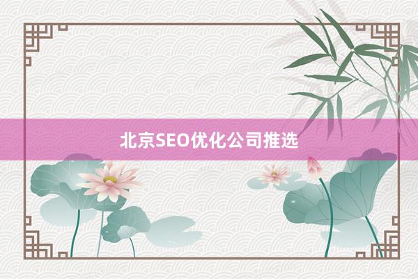 北京SEO优化公司推选