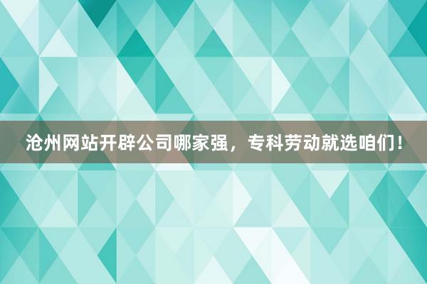 沧州网站开辟公司哪家强，专科劳动就选咱们！